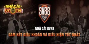 Thể thao tại SV88 có nhiều bộ môn hot